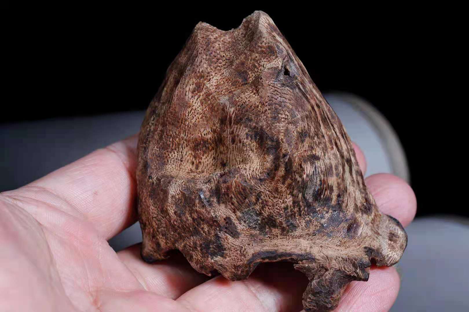 老越南生闻粉香足上炉